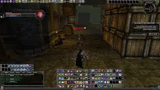 DDO: Ruin and Greater Ruin damage testing in Bonebite hideot. ~80K biggest crit, ~30K crit; 10k dmg.