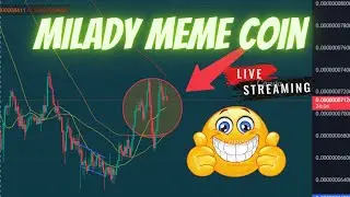 MILADY MEME COIN ***WE ARE LIVE***
