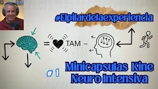 NEUROMONITOREO