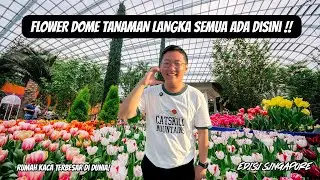 Flower Dome Singapore - Tanaman LANGKA Dunia & Baobab Australia Bikin Shock! 😱🌺 - 4K ULTRA HD