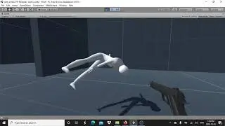 Ragdoll test