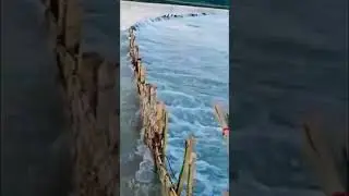 Fishing Videos /best fishing tricks #fishing #water #Nepal #Nature #shorts #youtubeshorts