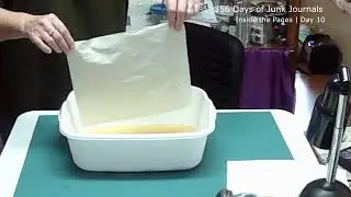 Inside the Pages | Day 10: finishing up the chamomile-stained pages