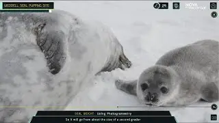 Polar Lab Trailer I NOVA I PBS