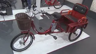 Motolux F3 (2020) Exterior and Interior