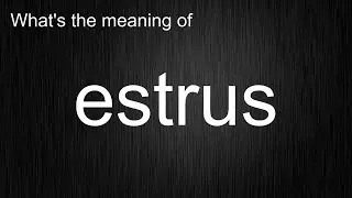 What's the meaning of 