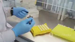 AI & CRISPR  The Future of Gene Editing!