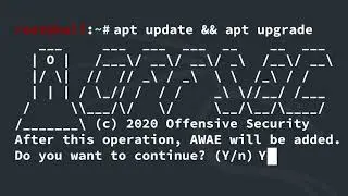 Introducing Advanced Web Attacks and Exploitation