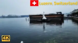 Luzern lakeside stroll from Pavillon am Nationalquai to R&ouml;ssliwiese | January 2022【4K 】