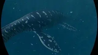 VR Pliosaur Animation Test 2