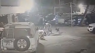 A security guard in Mumbai attacked dogs