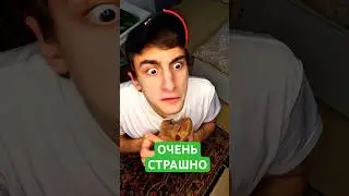 Страшная сказка на ночь #юмор #рекомендации #приколы