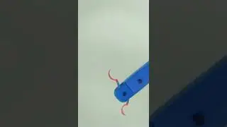 Swimming robot with Labriform steering based on diffrential drive principle_ Solidworks F. A.N