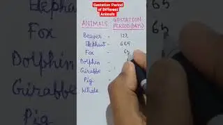 Gestation Period Of Different Animals #shorts #biology #animals