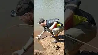 Carpa espelho!!