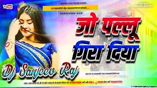 Jo Pallu Gira Diya Maine ( Old Is Gold Hindi Love Song ) Hindi Dj Remix Song Dj