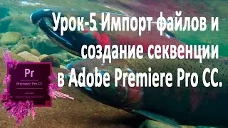 Видеоуроки по Premiere Pro CC Урок-5. Импорт файлов и создание секвенции в Adobe Premiere Pro CC.