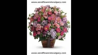 Send flowers from Kuwait to Calgary Alberta Canada
