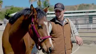 A Day At Mt.Sac Equine Unit - Jen Araiza - SavvyJPhotography