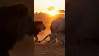 Animal AI Video 😱 | Sher Aur Cheeta Ek Sath Shikaar Par 🦁🐆🔥 #viralshorts#shortsfeed#aivideo#ytshorts