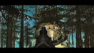 EURYPTERID.MP4