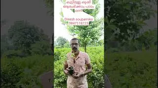 Jasmine cultivation chapter 1/കുറ്റിമുല്ല കൃഷി ആരംഭിക്കാം പാഠം ഒന്ന്