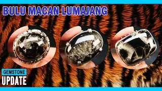 GEMSTONES UPDATE 27092024 - BATU BULU MACAN LUMAJANG - BASALTIC TIGER GLASS - INDONESIA