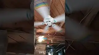1998 Jeff Gordon (DuPont) ceiling fan