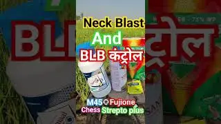 Neck Blast and sheetblast(BLB)