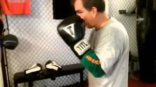 Absolute Boxing Mma Fitness Sarasota