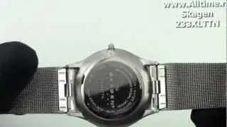 Мужские наручные часы Skagen 233XLTTN