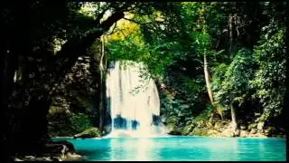 Rain forest Haven (Prod. Cvstheabstract)
