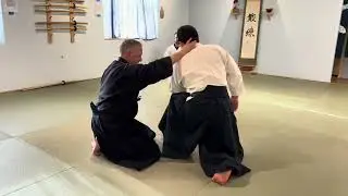 Aikido: Taking Osensei's Yin Yield to Another Level