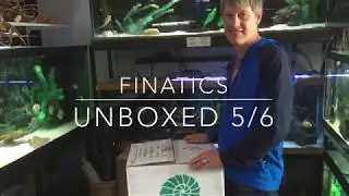 Finatics Unboxing 5-6 Bettas, Pond Fish, Shrimp and more.