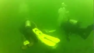 Whytecliff Diving