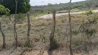 NÃO ESTÁ MAIS DISPONÍVEL