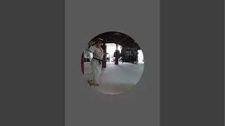 Kids and dog having fun! 🤩