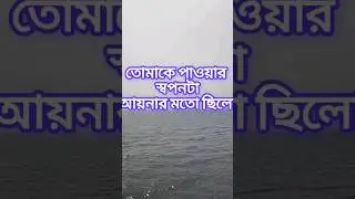 তোমাকে পাওয়ার স্বপ্নটা...!🥀💔#reels #shorts #youtube #sad @Friends #facebook