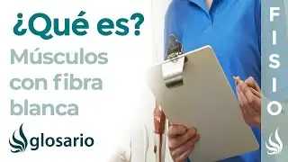 FIBRA BLANCA | Qué es, en qué músculos se encuentra, características y función