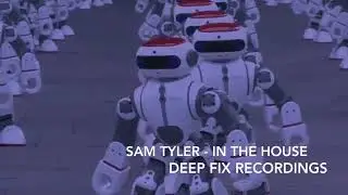 Sam Tyler - In The House [Deep Fix Recordings]