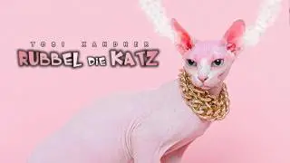 Miau (Rubbel die Katz | Fan-Edition) - TOBI XANDNER