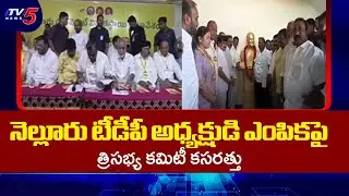నెల్లూరు టీడీపీ అధ్యక్షుడి ఎంపికపై కసరత్తు 3-Member Committee Working On Nellore TDP President Post