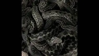 Moanhand - Serpent Soul (A Tale of Angels&rsquo; Slaughter) | Single 2021
