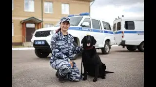 Мария Чекина и прямошерстный ретривер Альфа из Костромской области
