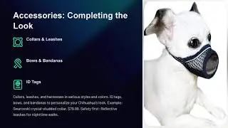 🐾 Ultimate Flea & Tick Protection for Chihuahuas &ndash; Safe & Chemical-Free! 🌿