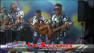 3   SUCESORES