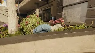 skate sessions - YEAH RIGHT!