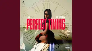 Perfect Timing (feat. Bouzzy)