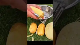 Stainless Multi-function Vegetable Peeler Potato Carrot Fruit Cutter|| kitchen gadgets