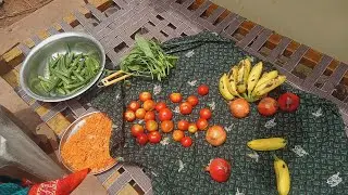 diml# morning vlog# palleturi lo morning vlog##